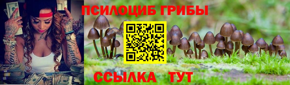 Галлюциногенные грибы Psilocybe Белая Калитва