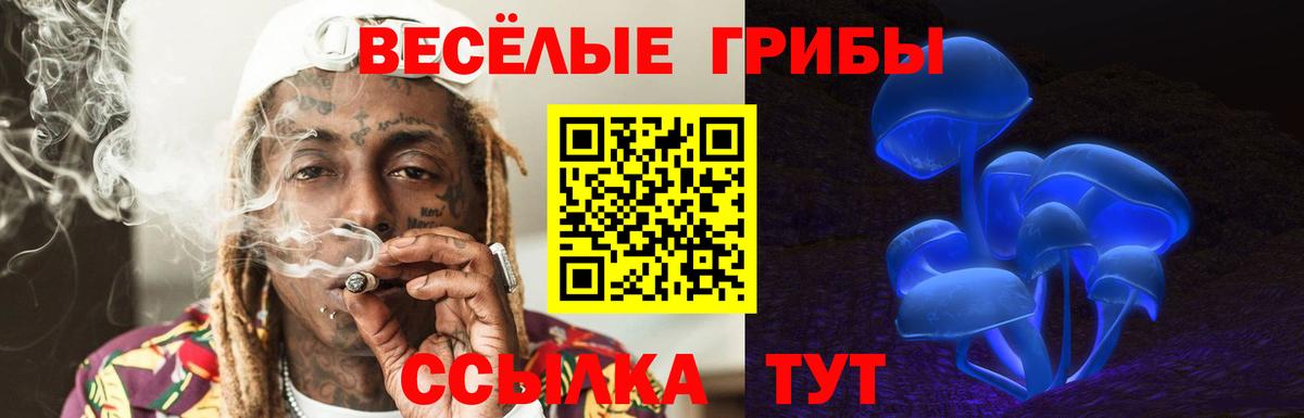 Псилоцибиновые грибы Magic Shrooms  Вход с VPN  Псилоцибиновые грибы GOLDEN TEACHER  наркотики  Белая Калитва 